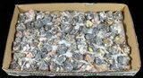 Cerussite, Barite, Galena - Wholesale Flat (About pieces) #50969-1